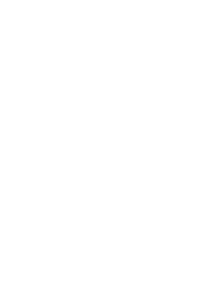 Visionary Partners logo